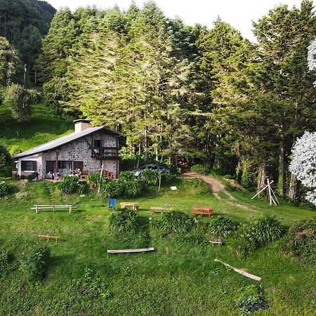 El Pital Ecolodge San Ignacio Ngoại thất bức ảnh
