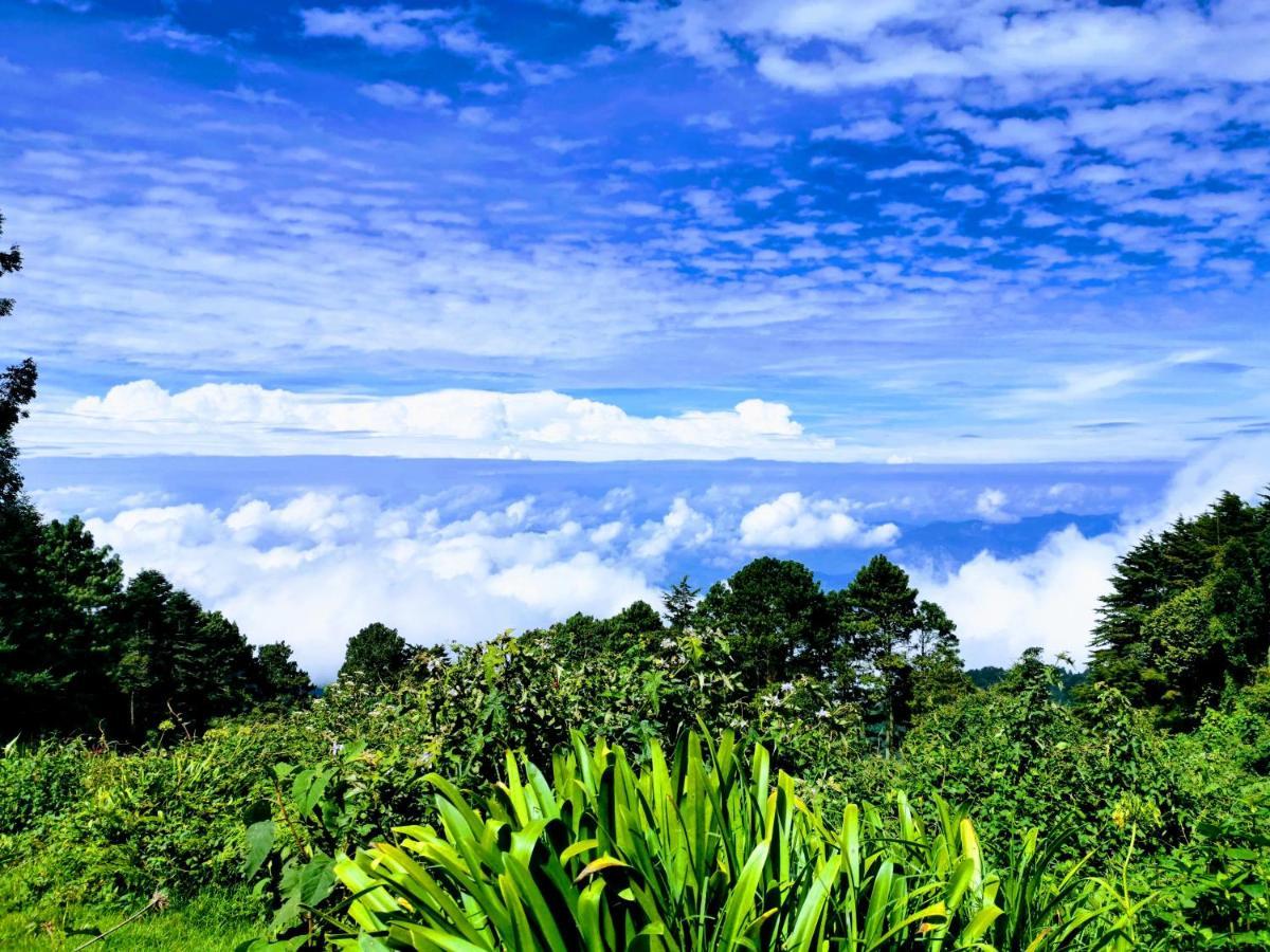 El Pital Ecolodge San Ignacio Ngoại thất bức ảnh