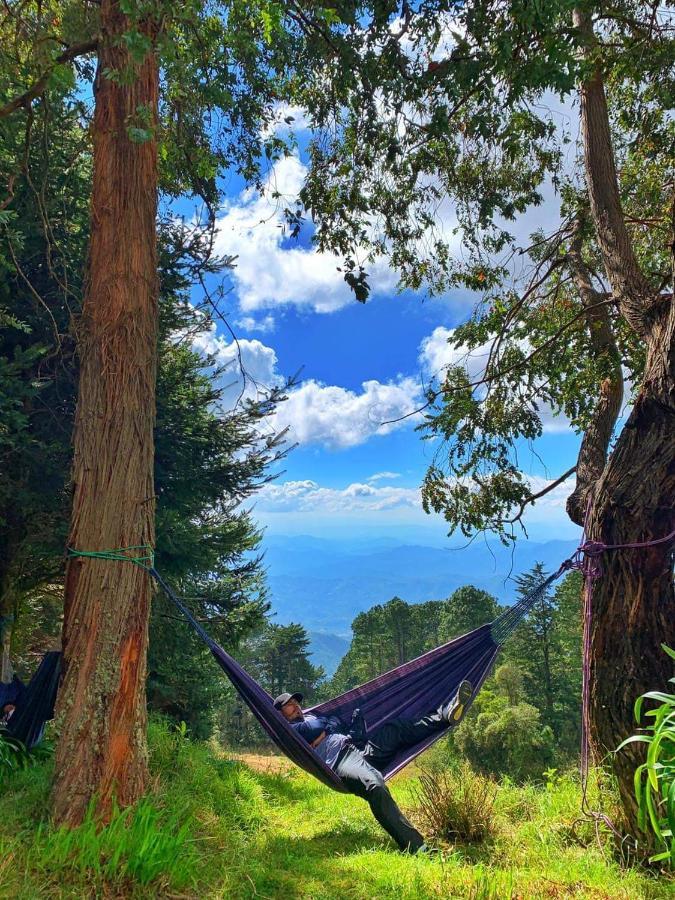 El Pital Ecolodge San Ignacio Ngoại thất bức ảnh