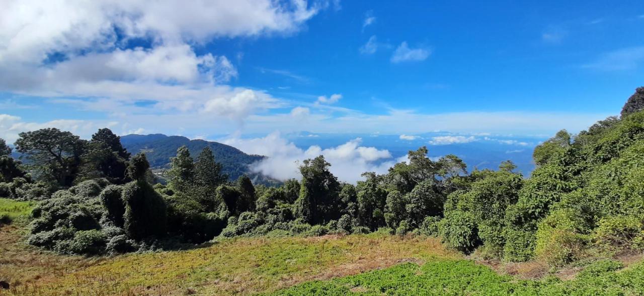 El Pital Ecolodge San Ignacio Ngoại thất bức ảnh