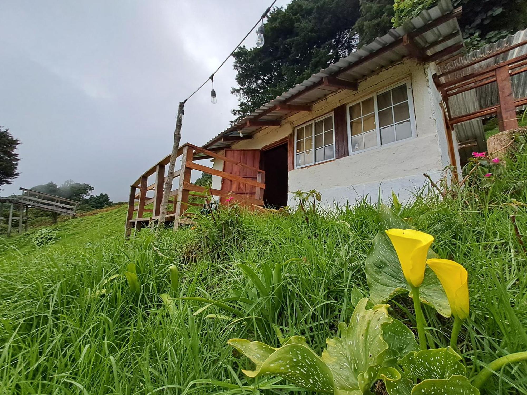 El Pital Ecolodge San Ignacio Ngoại thất bức ảnh